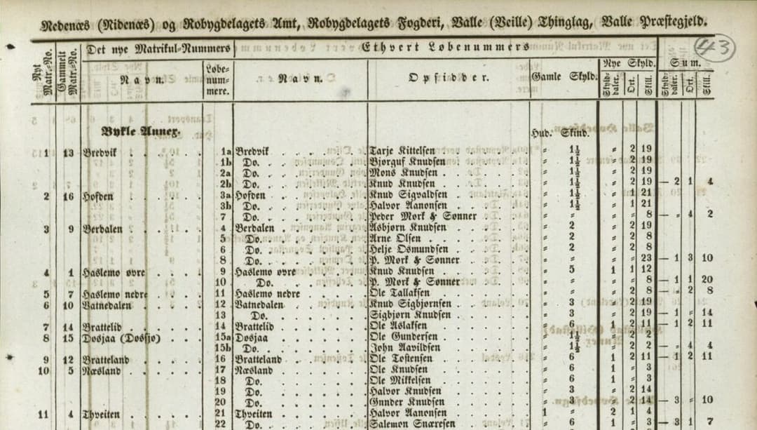 Utsnitt fra Matrikkelen 1838, Bykle anneks